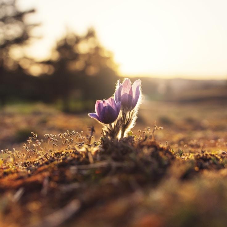 Protected areas overview